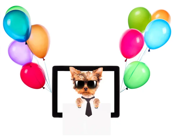 Business hund hålla banner på en Tablet PC-skärmen — Stockfoto