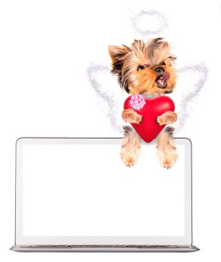 Köpek kalp ile tutarak? omputer