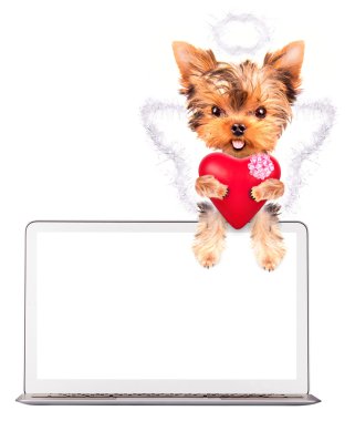 Köpek kalp ile tutarak? omputer