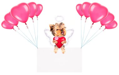 Balonlar ve köpek ile tatil afiş