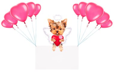 Balonlar ve köpek ile tatil afiş