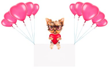 Balonlar ve köpek ile tatil afiş
