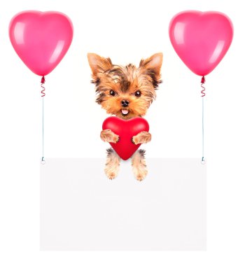 Balonlar ve köpek ile tatil afiş