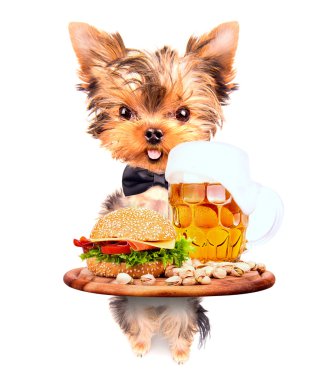 köpek yiyecek ve içecek ile servis tepsisi holding