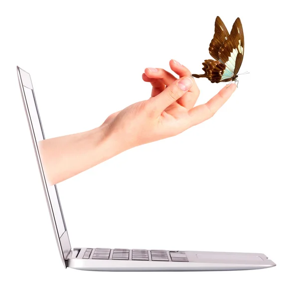 Вид сбоку от ноутбука с бабочкой на руке — стоковое фото