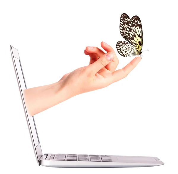 Laptop side view with butterfly on hand — Stock Photo, Image