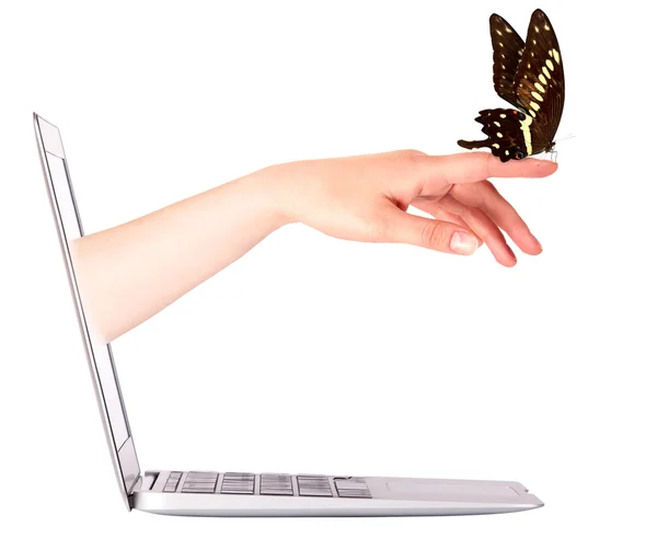 Laptop side view with butterfly on hand — Stock Photo, Image