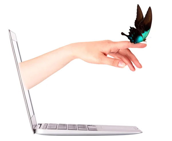 Laptop side view with butterfly on hand — Stock Photo, Image