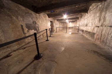 Auschwitz-Birkenau