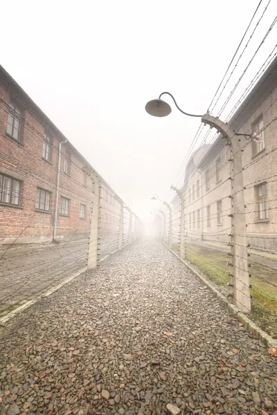 Clôture électrique dans l'ancien camp nazi — Photo