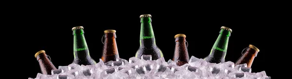 Botellas de cerveza sobre hielo — Foto de Stock