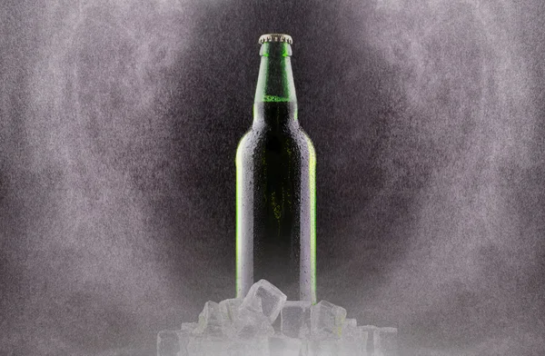 Bottles of beer on ice — Stock Photo, Image