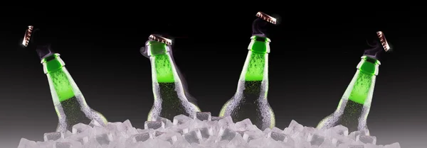 Öppna våta ölflaskor på is — Stockfoto