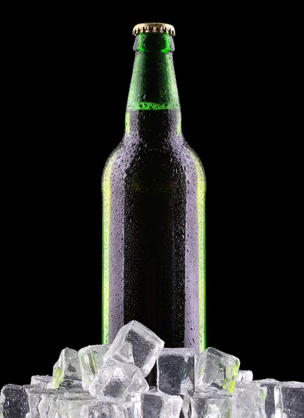 Bottles of beer on ice — Stock Photo, Image