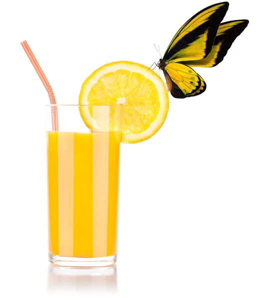Fresh orange juice with butterfly — Stock Photo, Image