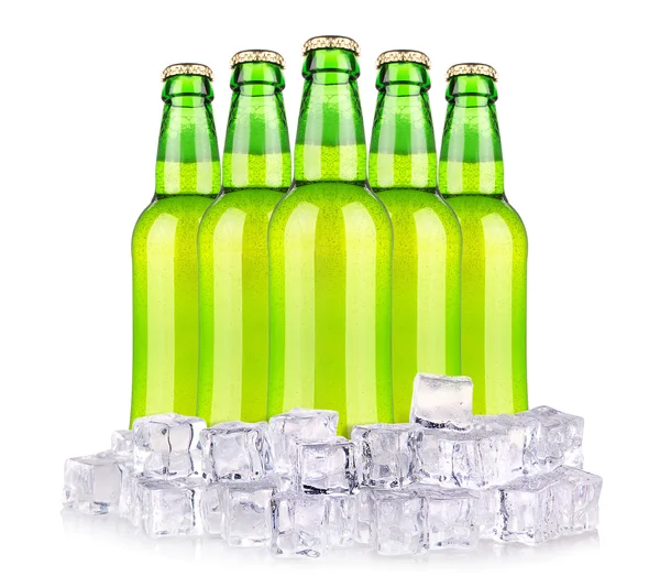 Botellas de cerveza aisladas en hielo —  Fotos de Stock