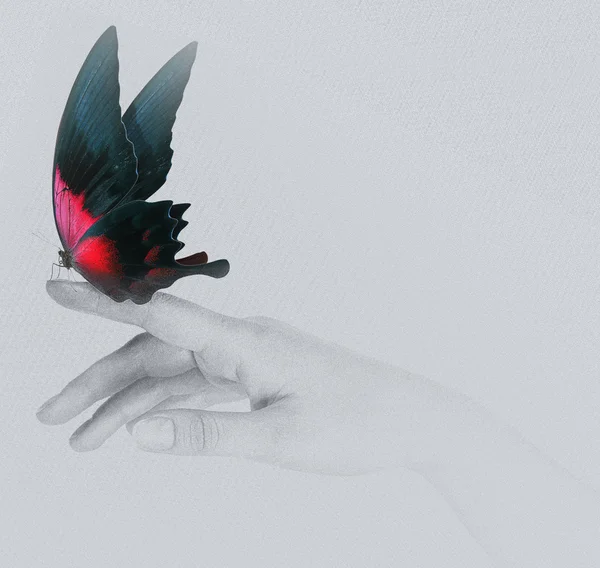 Farfalla sulla mano della donna. In movimento — Foto Stock