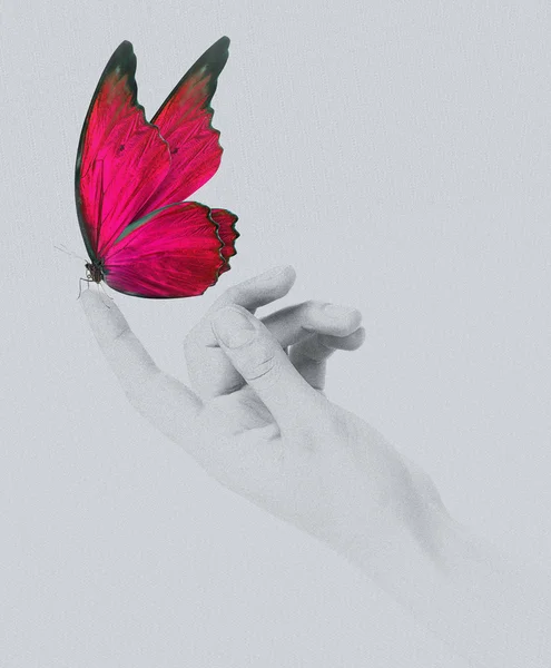 Motýl na ženské ruce. V pohybu — Stock fotografie