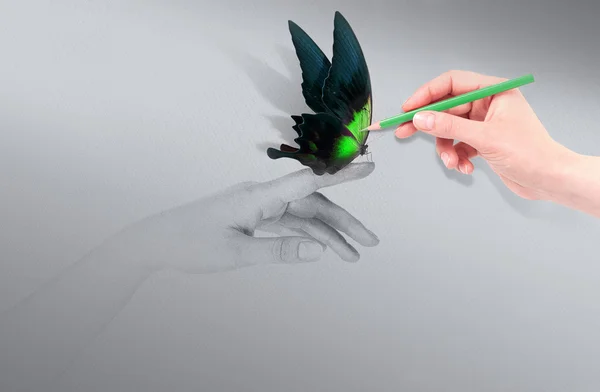 güzel kelebek ile ilham kavramı