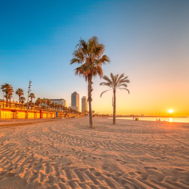 Barcelona'da Barceloneta plaja gündoğumu