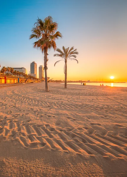 Barceloneta Strand in Barcelona bei Sonnenaufgang — Stockfoto