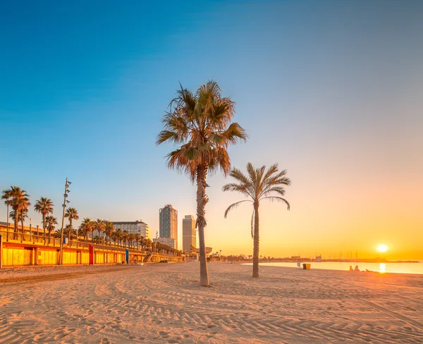 Пляж Барселонета в Барселоні на сході сонця — стокове фото