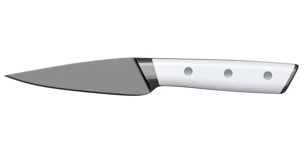 Coltello Cucina Con Manico Legno Isolato Sfondo Bianco Rendering Coltello — Foto Stock