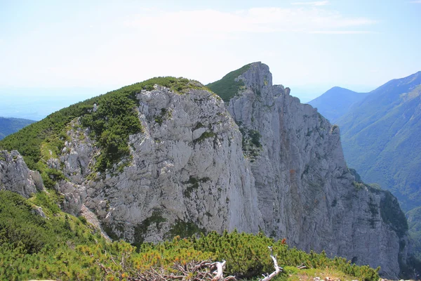 Montera konj, Alperna kamnik, Slovenien — Stockfoto