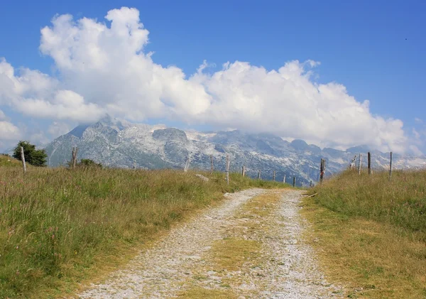 高山道路景观、 朱利安阿尔卑斯山、 斯洛文尼亚 — 图库照片