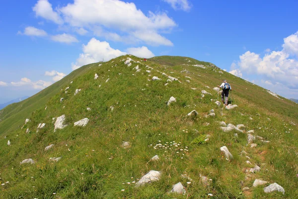 高山徒步路径，装载 kobariski 短距起落斯洛文尼亚 — 图库照片
