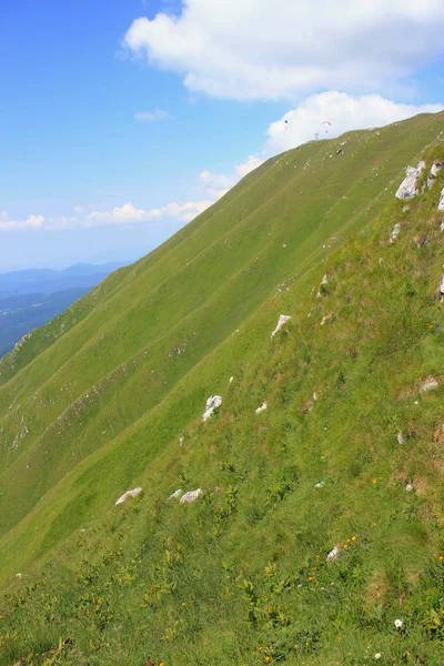 绿色的 kobariski 的斜坡短距起落、 斯洛文尼亚 — 图库照片
