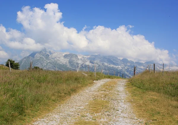 Paisagem do caminho alpino, Julian Alps, Eslovénia Fotos De Bancos De Imagens