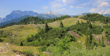Velika planina yeşil çayır örtüsü, Slovenya