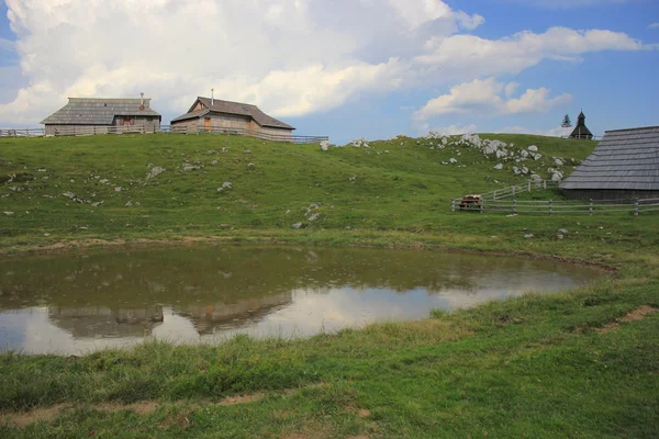 Alpine puddle in the rain, Slovenija — Stock Photo, Image