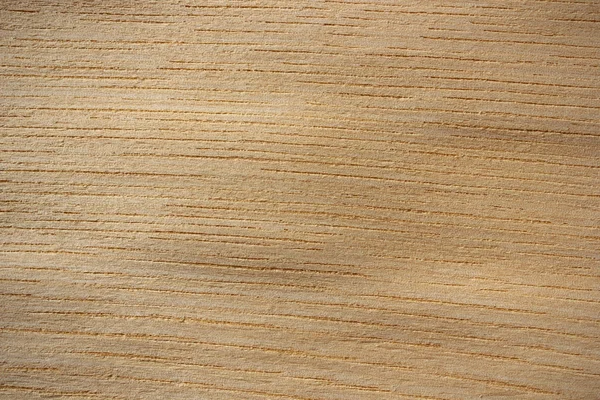 Japanese elm wood surface - horizontal lines — Stock Photo, Image