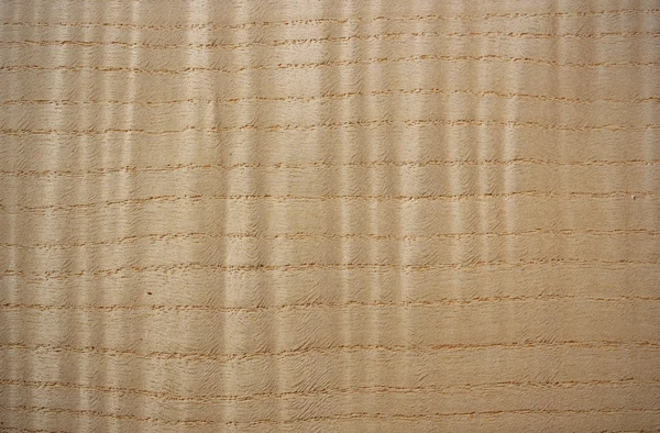 Curly ash wood surface - horizontal lines — Stock Photo, Image