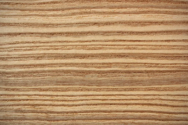 Olive ash wood surface - horizontal lines — Stock Photo, Image