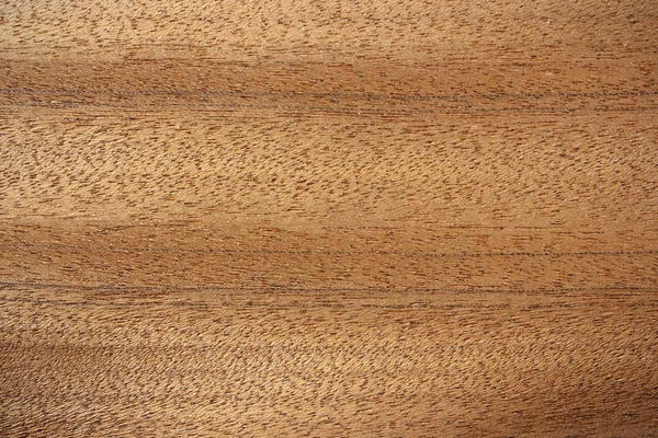 Bibolo wood surface - horizontal lines — Stock Photo, Image