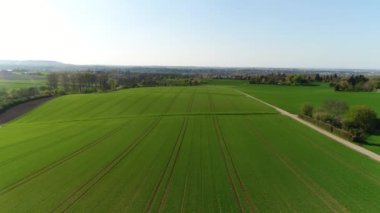 Arka plandaki tarımsal tarlaların insansız hava aracı görüntüsü. Yeşil çayır manzarası. Kırsal kesimde. 4K video.