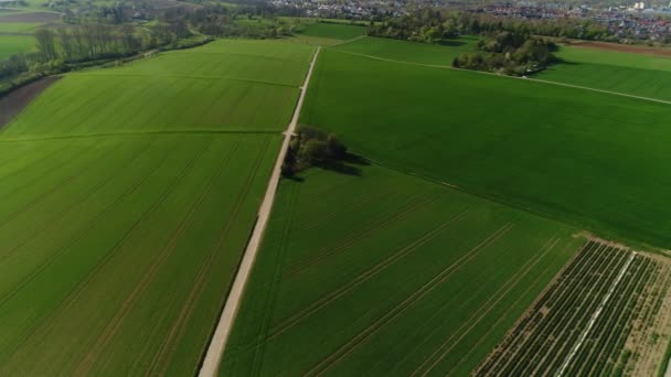 Pohled na zemědělská pole na pozadí modré oblohy. Zelená louka. Venkov. Video 4K. — Stock video