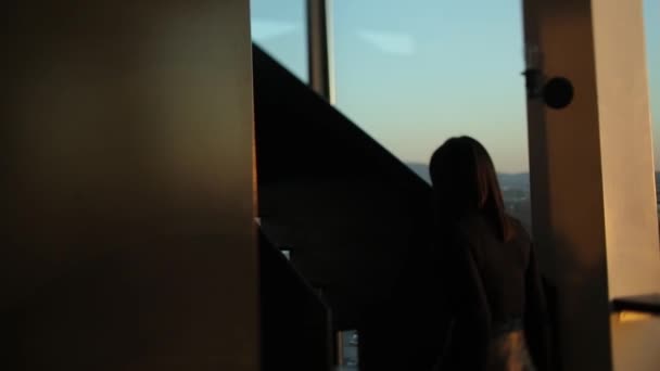La silhouette di una donna d'affari nel centro dell'ufficio sale le scale con una cartella in mano. — Video Stock