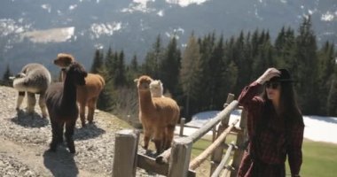 Güneşli bir günde esmer bir bayanın çitle çevrili bir kalemin yanından geçişi..