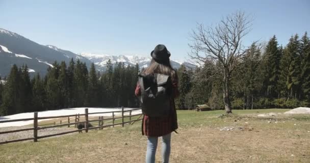 Vista trasera de una hembra caminando a través de un prado mientras disfruta de la vista de las montañas y árboles alrededor. — Vídeos de Stock