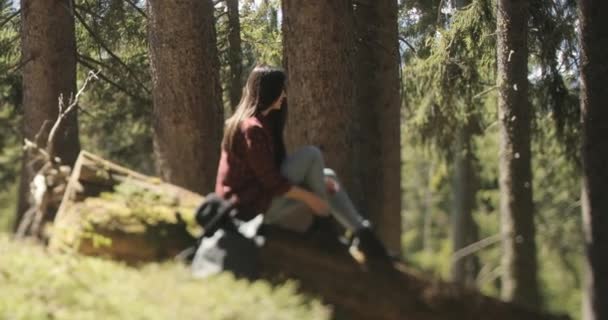 Wanita berambut cokelat muda mengenakan topi, berbaring di kayu besar untuk beristirahat di hutan pada hari yang cerah. — Stok Video