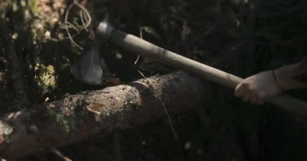 Penebang dalam kemeja kotak-kotak memotong kayu di hutan. — Stok Video