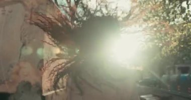 Güzel, mutlu, Afro-Amerikan bir kadının arka plan ışıklandırması. Kıvırcık saçları sokakta yürürken hoplayıp zıplıyor. Güneşli bir günde dışarıda eğlenmek..