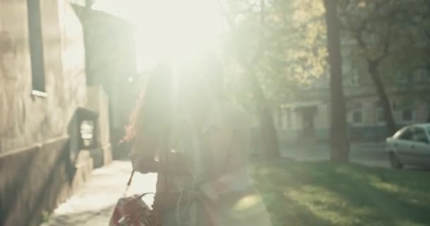 Silueta radostné afro-americké dámy s kudrnatými vlasy oblečené ležérně vzrušeně kráčející po ulici za slunečného dne. — Stock video