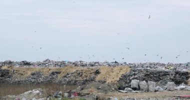 Çöp sahası. Bir sürü kayıp. Birçok kuş atık sahasının üzerinde uçar. Dünyanın ekolojisi. İnsanların en büyük sorunu. Ekolojik bir felaket. Çöp. Dünya 'nın kirliliği