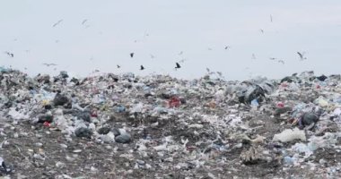 İnsanlığın ekolojik felaketi. Çöplük gibi bir yer. Birçok kuş çöp sahasında daireler çiziyor. Çöp yığını. Tehlike bölgesi. Dünya 'nın kirliliği