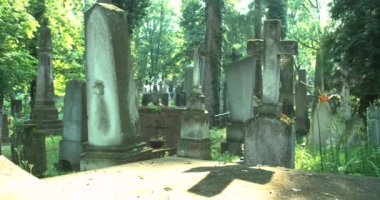 Ukrayna 'daki mezarlık. Mezarlıkta mezar taşlı mezarlar.